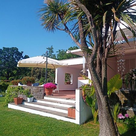 Casa De La Luna Nettuno Eksteriør billede