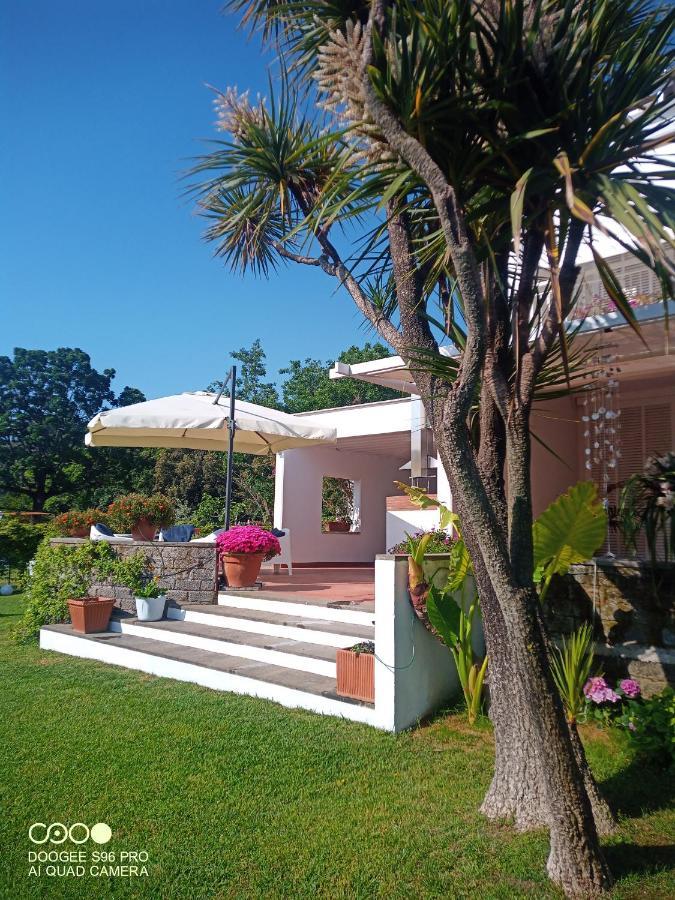 Casa De La Luna Nettuno Eksteriør billede